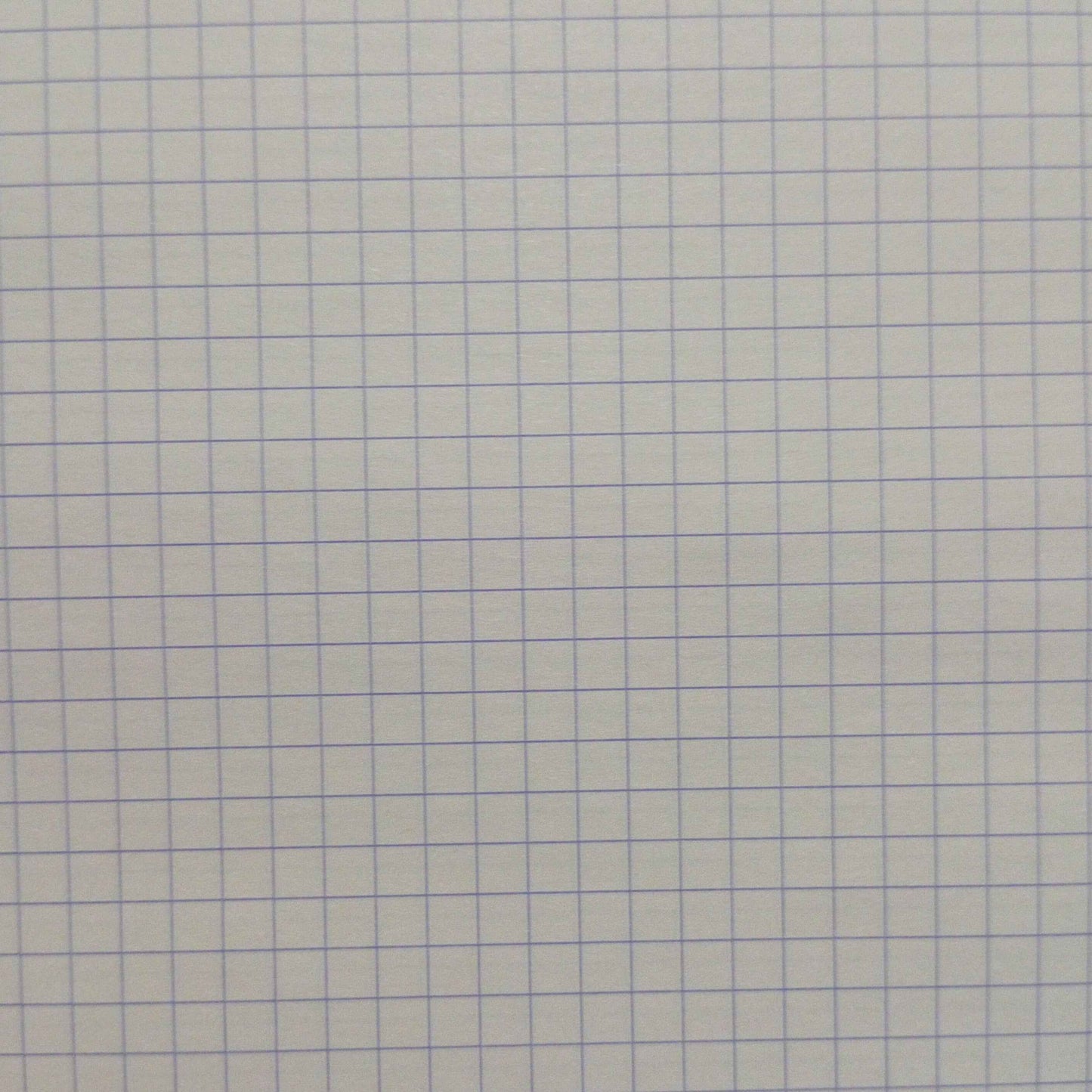 Bloc-Notes A4 160 Pages Petits Carreaux 5 x 5 mm – Cahier de Notes 21 x 29,7 cm pour Écriture, Croquis et Bureau