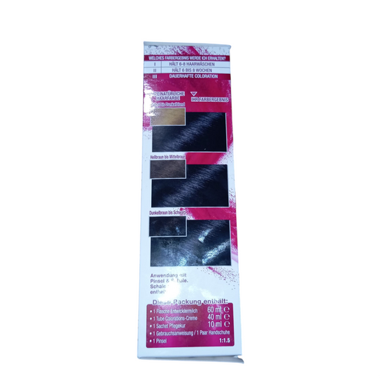 Coloration Garnier Pinsel Farbtalent Noir Bleu 2.10 avec Pinceau Applicateur