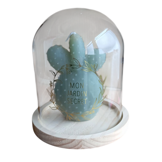 Bougie Cactus Sous Cloche en Verre Le Comptoir De La Bougie