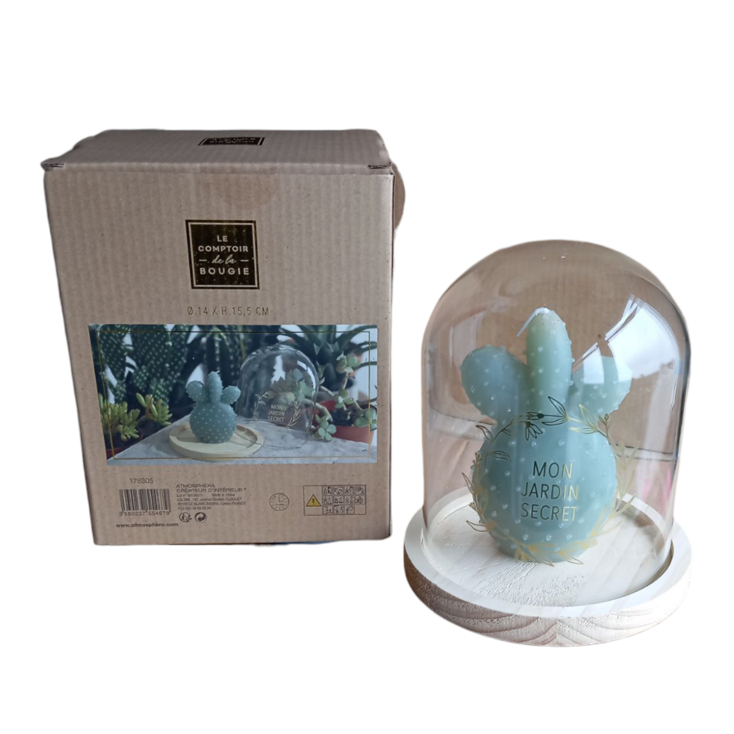 Bougie Cactus Sous Cloche en Verre Le Comptoir De La Bougie