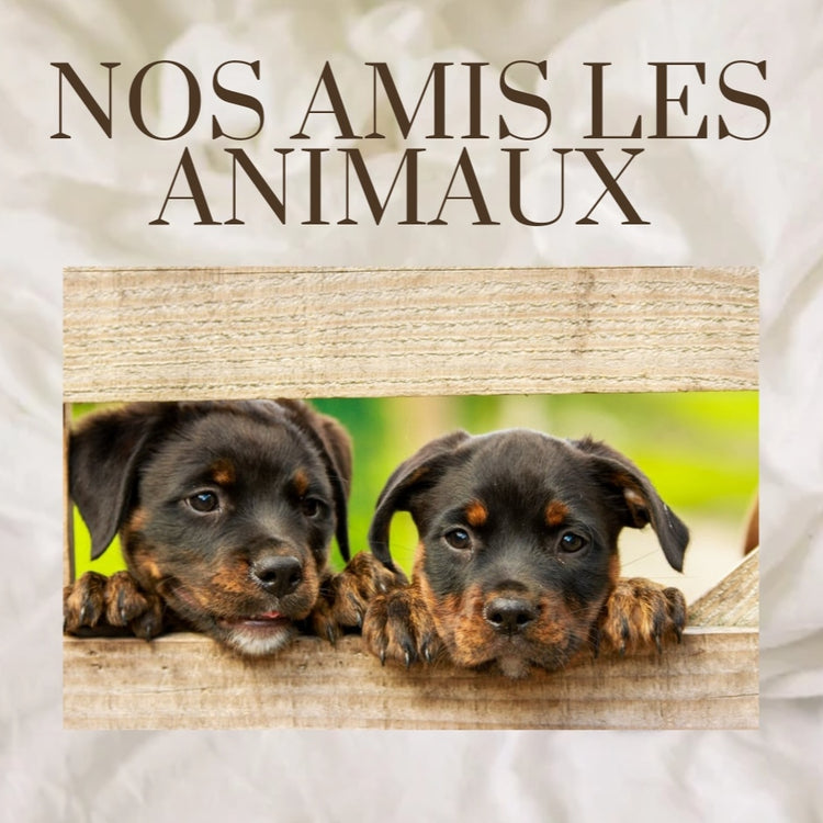 NOS AMIS LES ANIMAUX