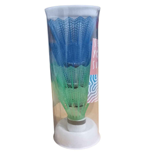 Boîte de 4 Volants de Badminton – 2 Bleus et 2 Verts