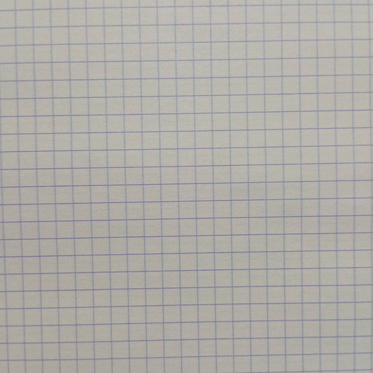 Bloc-Notes A4 160 Pages Petits Carreaux 5 x 5 mm – Cahier de Notes 21 x 29,7 cm pour Écriture, Croquis et Bureau