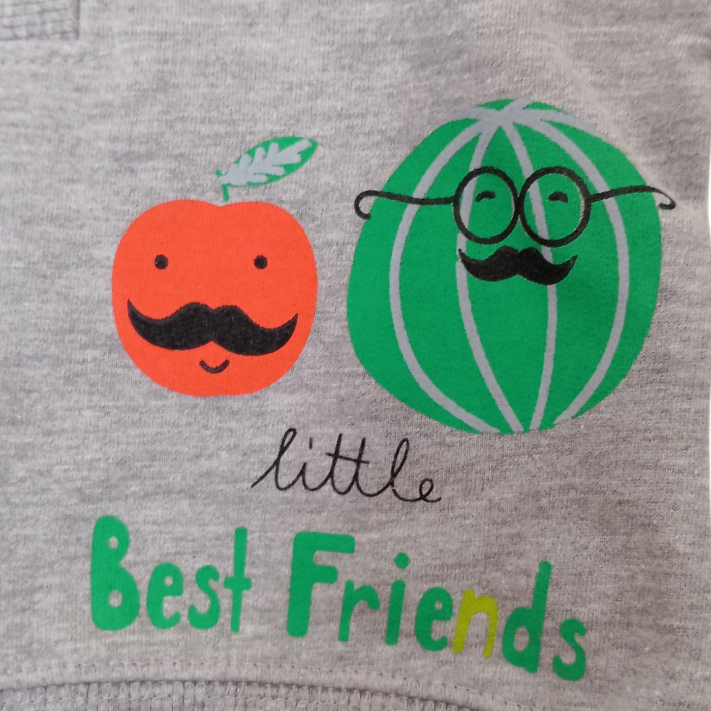 Sweat Bébé Garçon Gris et Vert Pommette « Little Best Friends » – 92 % Coton – 6 à 18 Mois