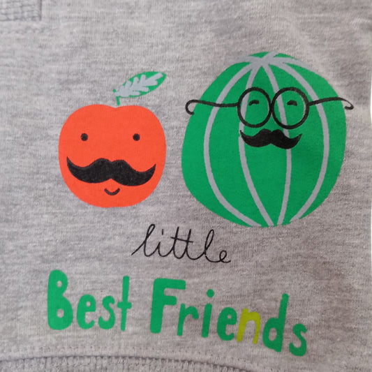 Sweat Bébé Garçon Gris et Vert Pommette « Little Best Friends » – 92 % Coton – 6 à 18 Mois
