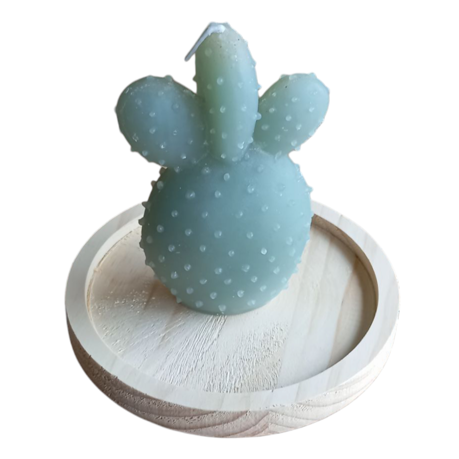 Bougie Cactus Sous Cloche en Verre Le Comptoir De La Bougie