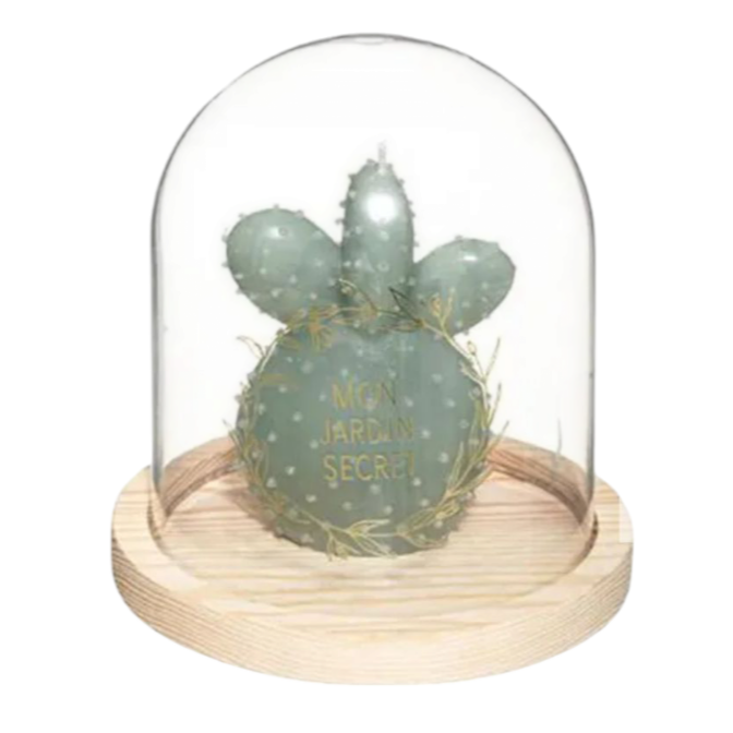 Bougie Cactus Sous Cloche en Verre Le Comptoir De La Bougie